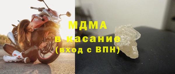 стаф Алзамай