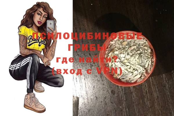 стаф Алзамай