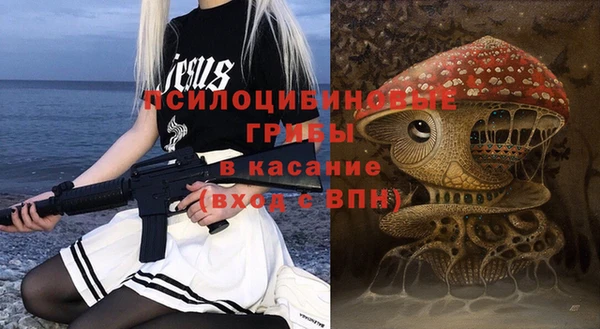 стаф Алзамай
