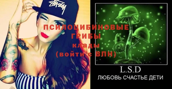 стаф Алзамай