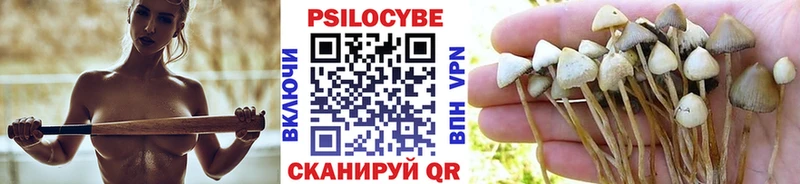 Галлюциногенные грибы ЛСД  Калининград 